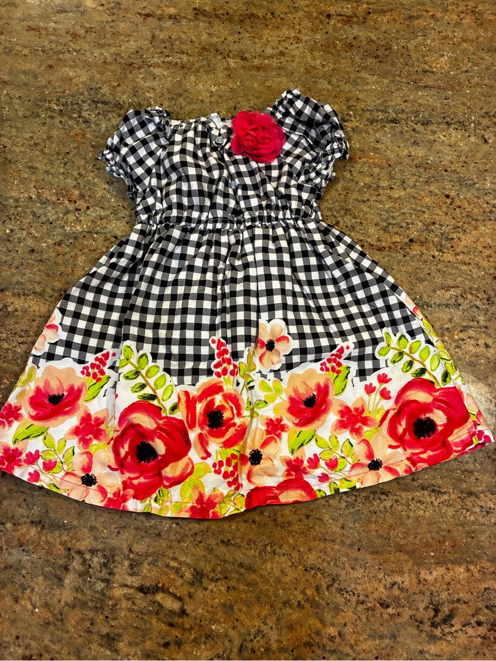 Penelope Mack Black & White Ginghamn Dress with Red Floral Border, Size: 2T